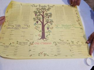 Our Family Tree Pennsylvania Dutch Vintage Genealogy Charts Stevenson 1975 Ce9