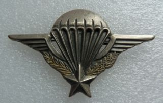 Vintage French Army & Foreign Legion Paratrooper Airborne Wings Pin