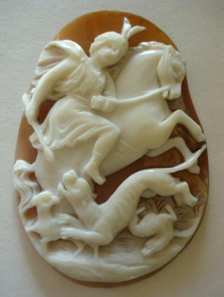 Large 2 ",  Antique Signed Shell Loose Cameo,  Amazon,  Horse,  Hunting Dogs,  Jaguar