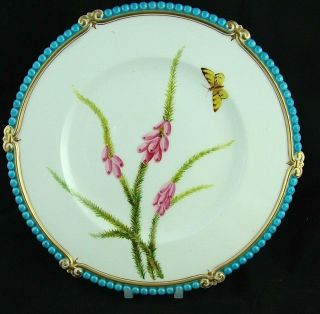 19thc Antique Brown Westhead Moore 23cm Dessert Plate,  Patt B3386 Butterfly
