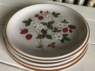 3 Sheffield Strawberries N Cream Dinner Plate 10 - 5/8 " Stoneware Vintage Japan