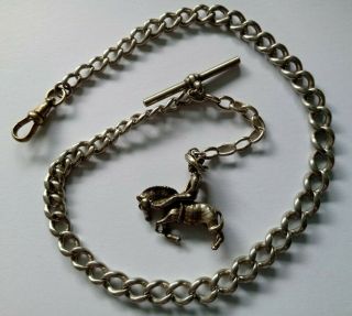 Antique Hallmarked Silver Graduated Curb Linked Albert Pocket Watch Chain & Fob