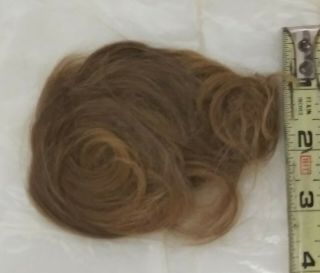 Vintage Real 100 Human Hair Cut Lock Of Hair 1940 