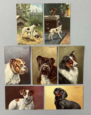Vintage Dog Postcards (7) Artist Signed Muller H.  K.  &co.  M.  Series 510,  512