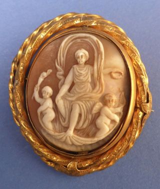 Gorgeous Antique Georgian Shell Cameo Brooch Birth Of Venus Pinchbeck 1820s/30s