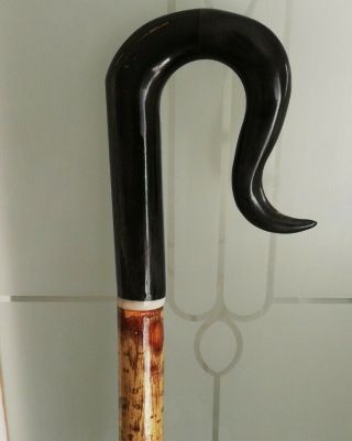Handmade Hazel Shaft Walking Stick With Black Buffalo Horn Handle And Metal Tip