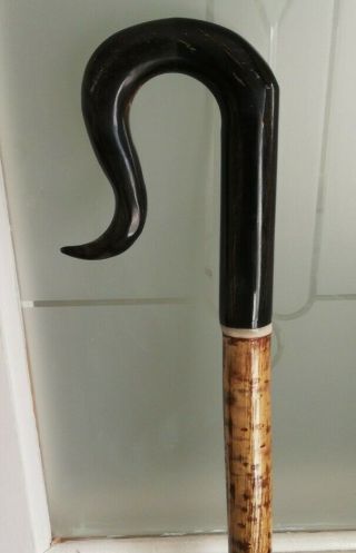 Handmade Hazel Shaft Walking Stick with Black Buffalo Horn Handle and Metal Tip 2