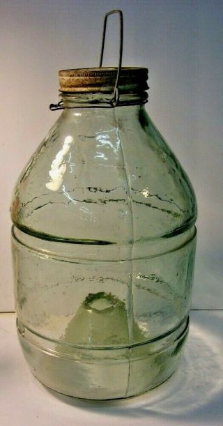Antique GREEN GLASS MINNOW TRAP with lid 11 