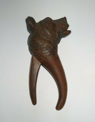 C 1900 Black Forest Carved Nutcrackers Of A Bear