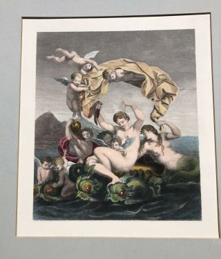 The Birth Of Venus Antique Colored Engraving With Mermaid 18th Century Art Print