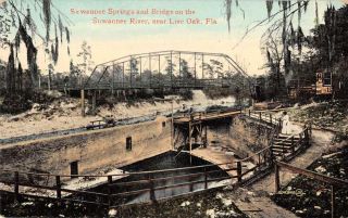 Live Oak Florida Suwannee Springs And Bridge Vintage Postcard Aa18829