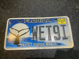 Florida Protect Florida Whales License Plate Wet9i