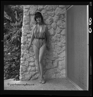 Early 1960s Bunny Yeager Camera Negative Self Portrait Sexy Leggy Swimsuit Model