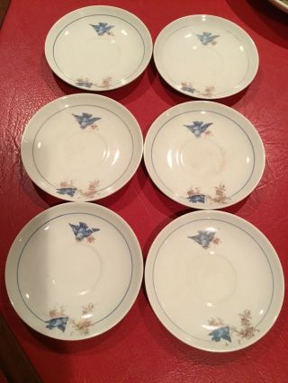 Vintage Set Of 6 Bluebird 5 3/4” Saucers.  Homer Laughlin/mount Clemens ? No Chip
