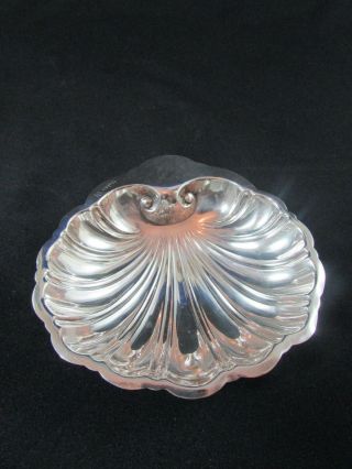 Solid Silver Shell Shaped Dish Chester 1907