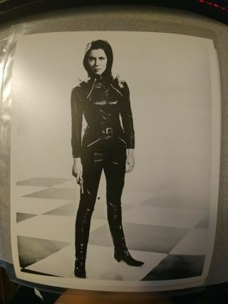 Diana Rigg As Emma Peel - The Avengers 8x10 Promo Press Photo Vintage