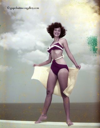 Bunny Yeager 1950s Pin - Up Camera Transparency Pretty Bikini Clad Jackie Walker