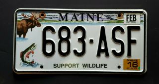 Maine " Support Wildlife - Moose - Trout - Fish 
