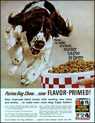 1962 Cocker Spaniel Purina Dog Chow Food Bowl Vintage Photo Print Ad Adl61