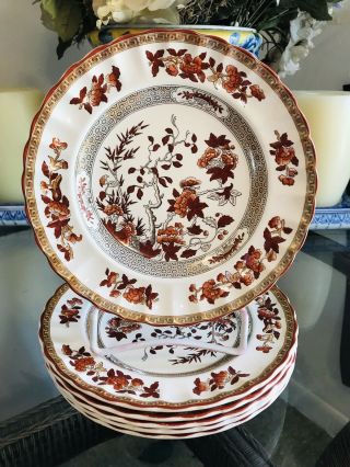 3 Vintage Spode Indian Tree Scalloped Dinner Plates 10.  25”