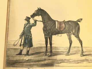 Antique Horse Print Etching French Hand Colored Kentucky Derby 1800s