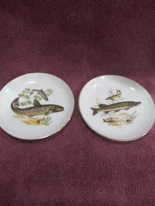 Set Of 2 Vintage Naaman Israel Porcelain 6.  5 Fish Platter.  1950 Naa11 Gold Rim.