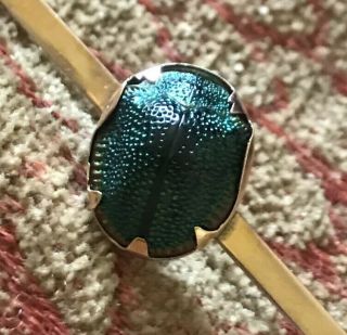 Antique Victorian 9ct Gold Real Scarab Beatle Brooch Tie/pin Egyptian Magic