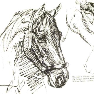 Vintage Walter T.  Foster Art Instruction Books 11 How To Draw Horses
