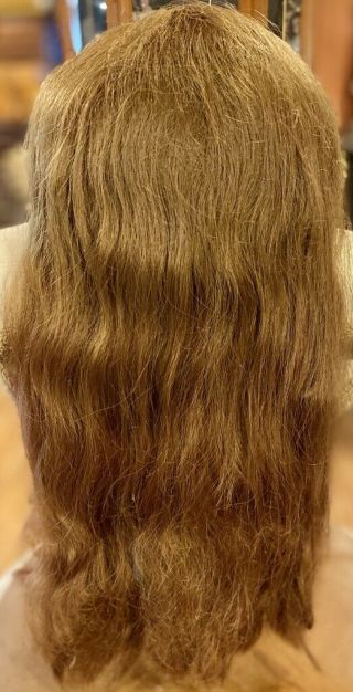 3 Vintage Long Large 15 - 16 " Brunette Human Hair Doll Wig