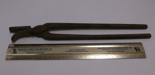 VINTAGE BLACKSMITH FARRIER CURVED JAW HOOF CLINCHER TONGS PLIERS,  13 1/2 