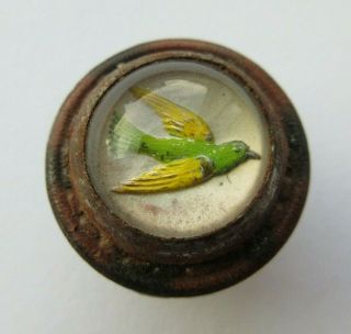 Impressive Old Antique Vtg Design Under Glass In Leather Button W/ Bird (p)