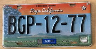 Baja California Norte License Plate Tag Placa Grapes Tijuana Orange Mexico
