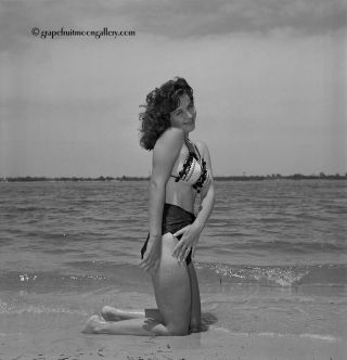 Bunny Yeager 60s Pin - Up Camera Negative Bathing Beauty Virginia Remo In A Bikini