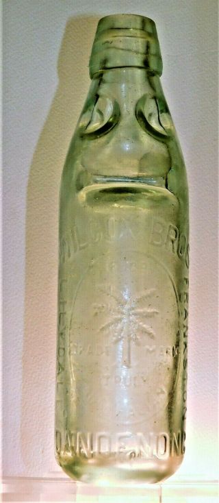 A.  A.  A.  Antique Bottle Truly Australian Tree Fern 13 Oz Codd Old Bottle 1890 