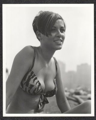 Lqqk 8x10 Vintage 1960s,  Lovely Swimsuit Glamour Girl Next Door 3