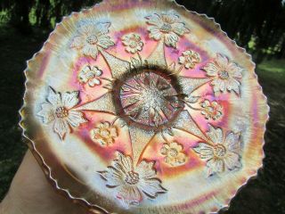 Fenton Little Flowers Antique Carnival Art Glass 6 " Plate Marigold Very Scarce