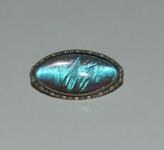 Antique / Vtg Sterling Silver Butterfly Wing Brooch,  Probably By Thomas L Mott