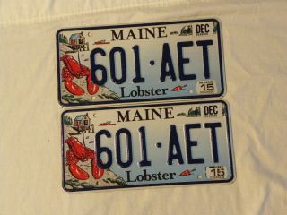 License Plate : Maine Lobster Matching Pair