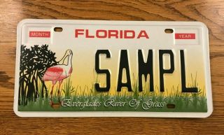 Florida Sample License Plate Everglades River Of Grass
