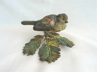 Charming Antique Cold Painted Bronze Bird - Old Vintage