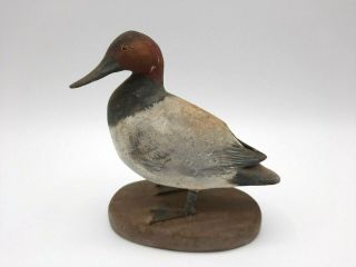 Vintage Peter Peltz Carved Painted Wooden Canvasback Duck Shore Bird Figurine