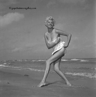 Vintage Bunny Yeager Pin - Up Camera Negative Vivacious Blonde Beach Peek - A - Boo