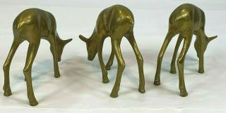 Vintage Brass Grazing Deer Set of 3 Doe ' s 4.  5 