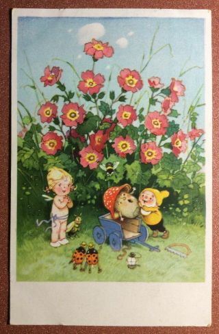 Vintage Postcard 1950s Baumgarten Gnome Dwarf.  Ladybug.  Mushroom.  Nude Girl Elf