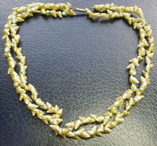 Antique Double Strand Tasmanian Aboriginal Maireener Iridescent Shell Necklace