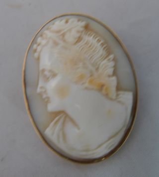 Antique 9ct Yellow Gold Carved Shell Cameo Brooch 6.  4g 3.  5cm X 2.  7cm A665017