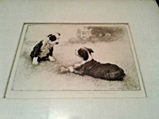 Vintage Signed Morgan Dennis 2 Boston Terriers Dogs A Bone Of Contention Etching
