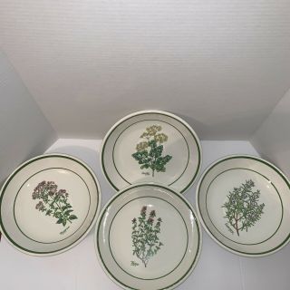 Cic Italy Ceramic Pasta Serving Bowls Green Band Herb Design Set Of 4 Vintage