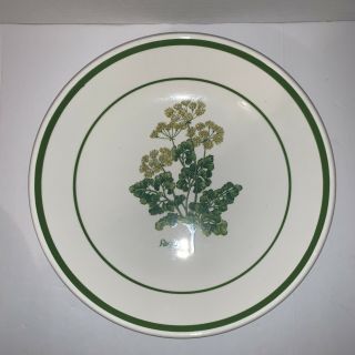 CIC Italy Ceramic Pasta Serving Bowls Green Band Herb Design Set Of 4 Vintage 3