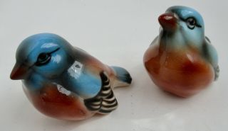 Vtg Set Of Two Porcelain Pottery Ceramic Blue Bird Figurines Made In Austria